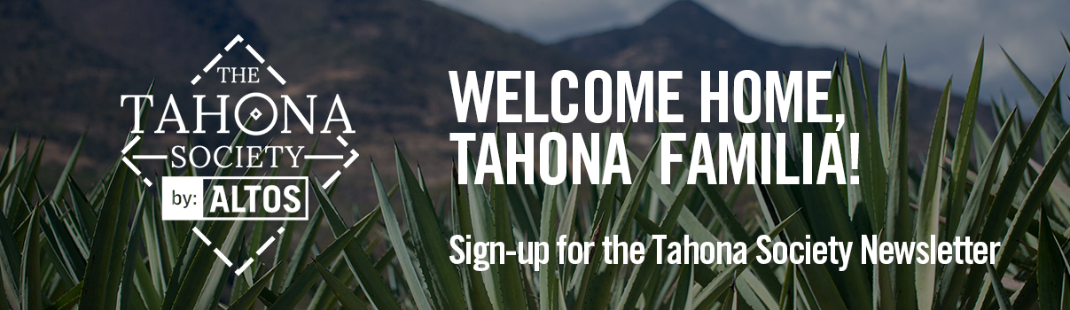 Tahona Society Pernod Ricard Webform And Microsites Management